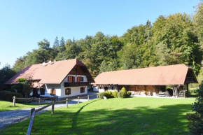 Domačija Šeruga Countryside hotel
